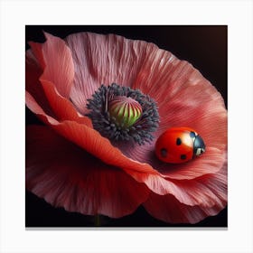 Red Poppy and Ladybird 2 Canvas Print
