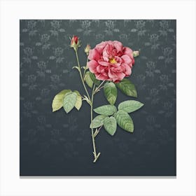 Vintage French Rose Botanical on Slate Gray Pattern n.0297 Canvas Print