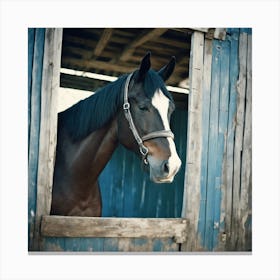 Horse In Stall Canvas Print