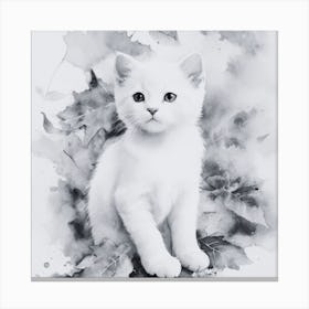 Black and White White Kitten Canvas Print
