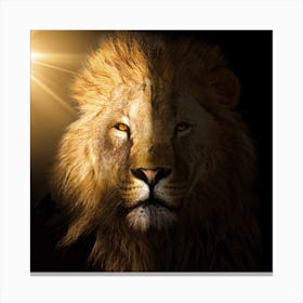 Lion 1 Canvas Print