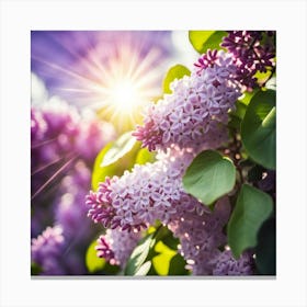 Lilac Canvas Print