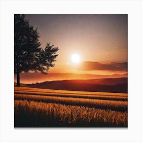 Sunset In A Wheat Field 4 Canvas Print