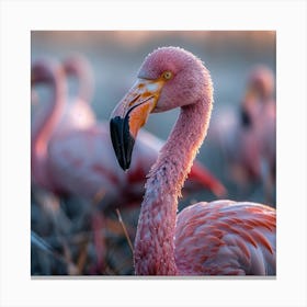 Pink Flamingos 1 Canvas Print