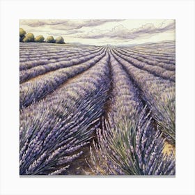 Lavender Field 2 Canvas Print