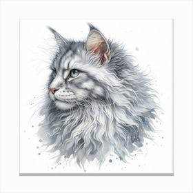 Grey-white maine coon cat 4 Canvas Print