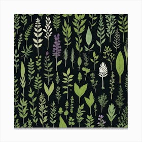 Collection Of Herbs Canvas Print