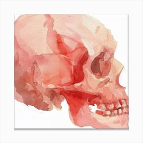 Skull Painting Canvas Print