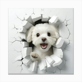 Dog Peeking Through A Hole 1 Canvas Print