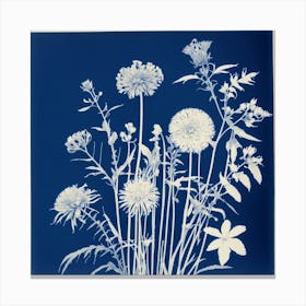 Flowers Photography In Style Anna Atkins (1) Canvas Print