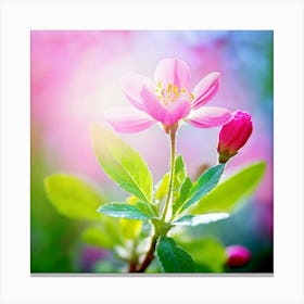 Pink Flower In Spring Canvas Print