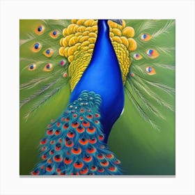 Peacock 1 Canvas Print