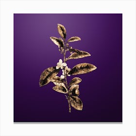 Gold Botanical Tea Tree on Royal Purple n.1426 Canvas Print