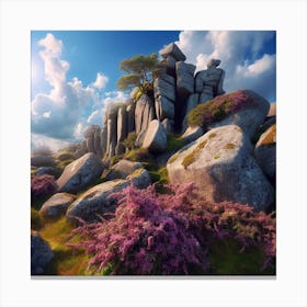 Boulders In A Field Canvas Print