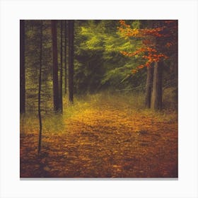 Autumn In The Forest Photo Canvas Print