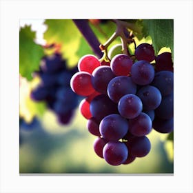 Grapes On The Vine 12 Canvas Print