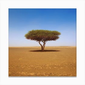 Acacia Tree In The Desert Canvas Print