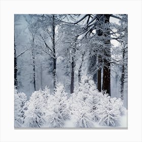 Snowy Forest 6 Canvas Print