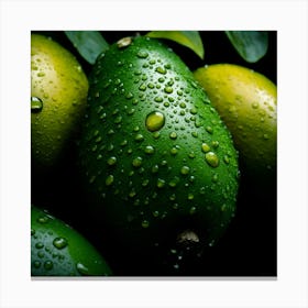 Water Droplets On Avocados Canvas Print