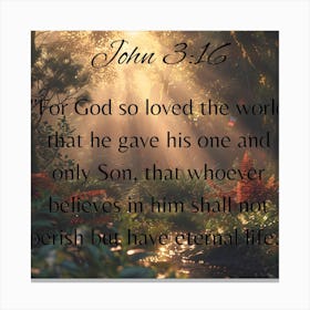 John 3:16 Canvas Print