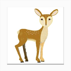 Sweet Deer Canvas Print