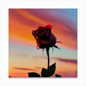 Sunset Rose 1 Canvas Print