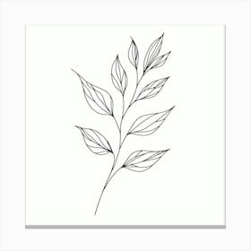 Line Drawing Of A Leaf Canvas Print