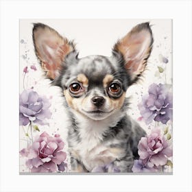 Chihuahua Canvas Print