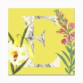 Botanical E Canvas Print