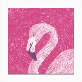 Flamingo Square Canvas Print