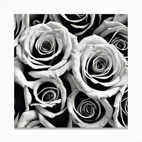 Black And White Roses 25 Canvas Print