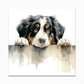 Bernese Mountain Dog 5 Canvas Print