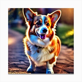 Corgi Dog 11 Canvas Print