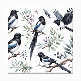 Magpies 2 Canvas Print