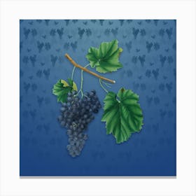 Vintage Lacrima Grapes Botanical on Bahama Blue Pattern n.0133 Canvas Print
