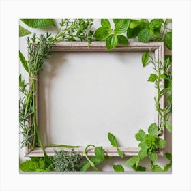 Frame With Herbs On White Background 1 Canvas Print