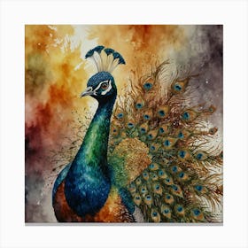 Peacock 5 Canvas Print