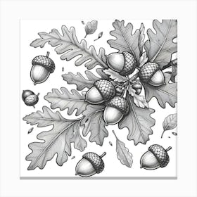 Line Art acorns and leaves Canvas Print