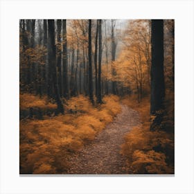 Autumn Path 1 Canvas Print