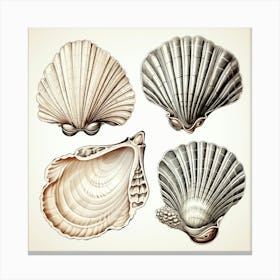 Set Of Seashells Canvas Print