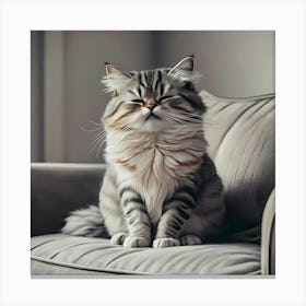 Cat Sitting On A Couch Canvas Print