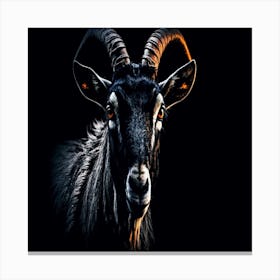 Black Goat Canvas Print