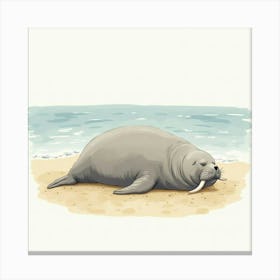 Walrus 2 Canvas Print