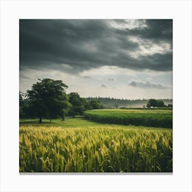 Dark Clouds Over A Wheat Field Canvas Print