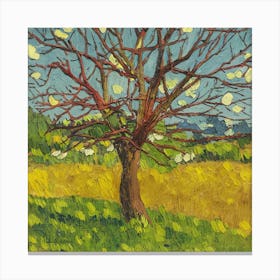 Cherry Tree In Bloom Canvas Print