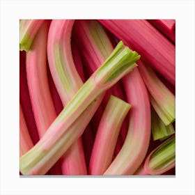 Rhubarb 32 Canvas Print