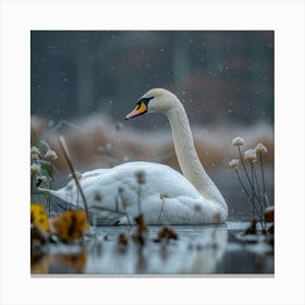 Swan In The Snow 3 Canvas Print