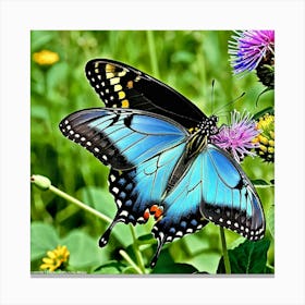 Blue Swallowtail Butterfly 2 Canvas Print