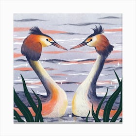 Birds In Love Canvas Print