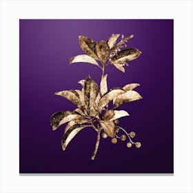 Gold Botanical Greek Strawberry Tree on Royal Purple n.2169 Canvas Print